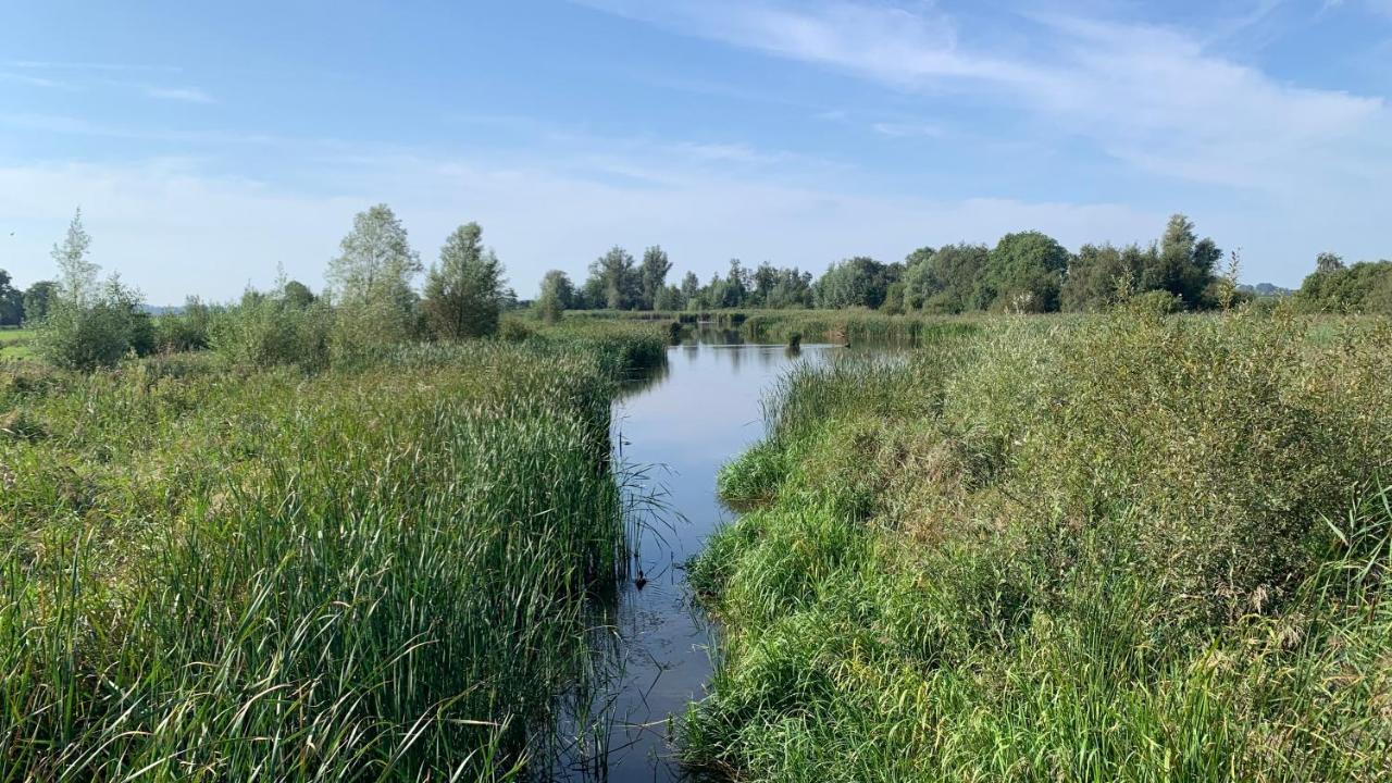 'T Paviljoenhus Bij Sneekermeer Offingawier Kültér fotó