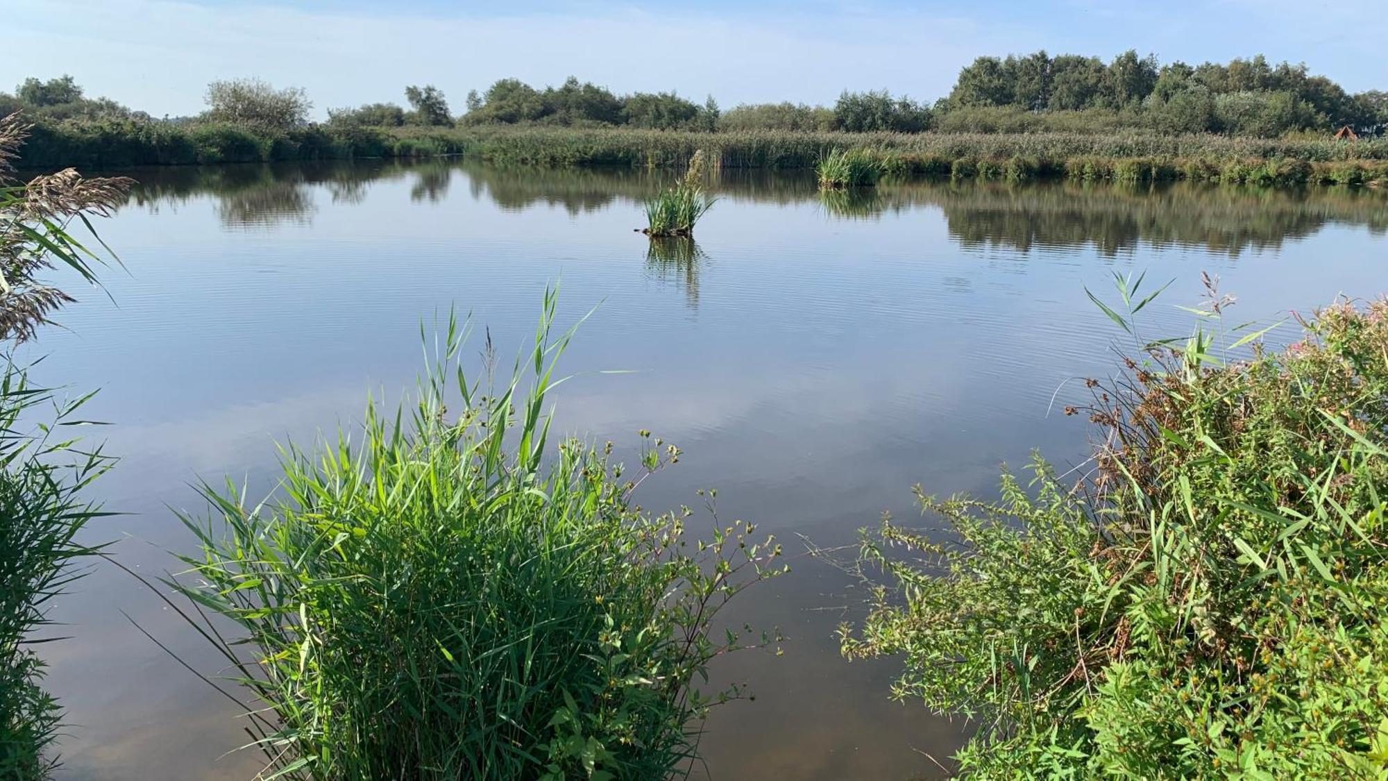 'T Paviljoenhus Bij Sneekermeer Offingawier Kültér fotó